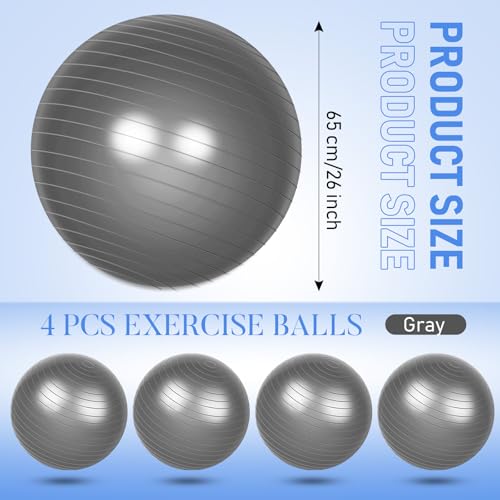 Leyndo 4 Pcs 26 Inch Yoga Exercise Ball Pilates - color: Gray