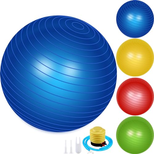 Leyndo 4 Pcs 26 Inch Yoga Exercise Ball Pilates - color: Bright Color