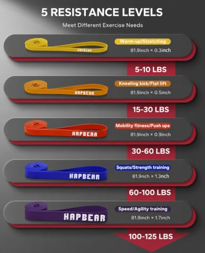 HAPBEAR Pull Up Assistance Bands - Pull Up Bands - Resistance Bands - Exercise Bands Resistance Bands Set of 5 - Workout Bands for Working Out, Stretching, Muscle Training - color: Colorful