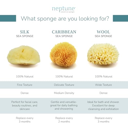 Neptune Caribbean Sea Sponge, Medium, Approx. 5-6 in, Exfoliating | Hand cut so size and shape vary slightly. Eco-friendly, biodegradable, ultra-soft for face and body - size: 1 Count (Pack of 1)