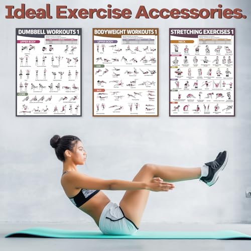 gisgfim 6PCS Workout Posters for Home Gym Dumbbell Bodyweight Stretching Workout Exercise Chart - color: Retro