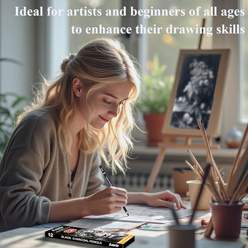 Aenir Charcoal Pencils for Drawing,(S-Soft, Soft, Medium, Hard 12 Pieces | Charcoal Drawing Pencils for Drawing, Sketching, Shading, Smooth, Art Supplies for Artist and Beginners - color: Black