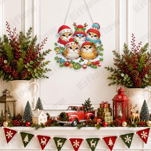 Eiflow Acrylic Diamond Art Hanging Kit for Adults, DIY Diamonds Painting Door Hanger Board Kit, Special Crystal Diamond Art Painting Pendant Ornament (Christmas Bird) - color: Christmas Bird