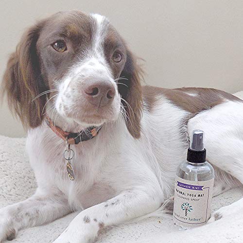 Mind Over Lather Yoga Mat Cleaner & Cleaning Spray 8oz 100% Natural Essential Oils | Lavender Mint | Cleans, Deodorizes & Restores All Mats | Non-Toxic