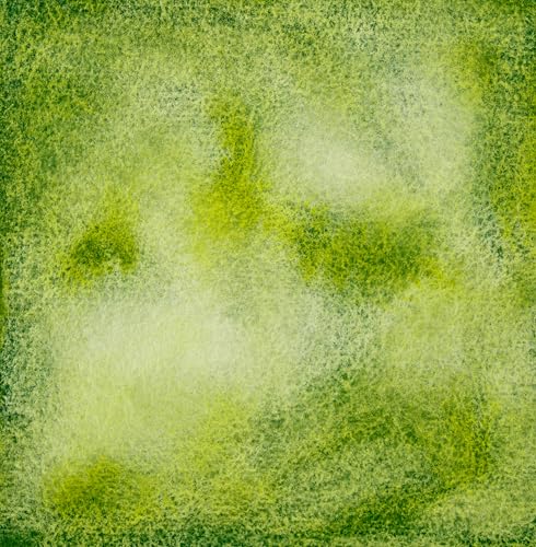 White Nights Limited Edition Granulation Metamorphoses Watercolor Collection of Professional Artist Grade Paints Vibrant Lightfast Colors by Nevskaya Palitra (Green Dream) - color: Green Dream