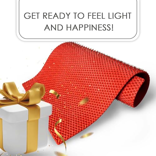 Lyapko Big Acupressure Mat | Original Multi-Metal Massage Mat | Large Full Body Mat with 0.28 in (7 mm) Needle Spacing for an Intensive Textured Massage Experience