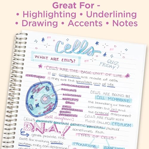 Zebra Pen MILDLINER Highlighter & SARASA Clip Gel Set, Assorted, 14-Pack | Includes 7 MILDLINER Highlighters and 7 SARASA Clip Gel Pens, Ideal for Journaling, Planners, and Note-Taking (10014) - style: Notetaking and Creative Planning Set