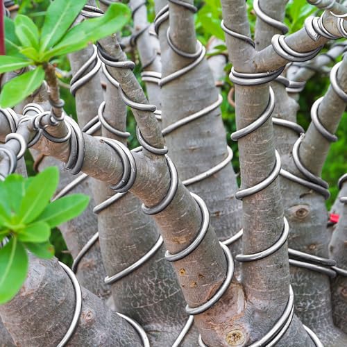 Pelopy Aluminum Armature Wire Bendable Sculpting, Silver, 3/16 Inch,20ft | Thick Metal Wire for Dolls and Floral Designs, Jewelry Making and Weaving Crafts, Holds Shape Well for Art Projects - size: 3/16 Inch,20ft