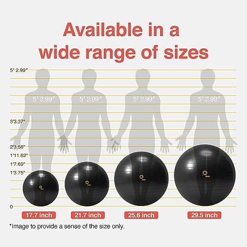 Primasole Exercise Ball for Balance Stability Fitness Workout Yoga Pilates at Home Office & Gym Birthing Ball for Pregnancy, Office Ball Chair - color: Black, size: 65 cm