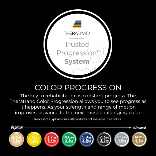 THERABAND Resistance Bands, 5 Foot, 15 Count, Exercise, Blue, Extra Heavy | Professional TheraBand elastic resistance for exercise, physical therapy and at-home workouts - color: Blue