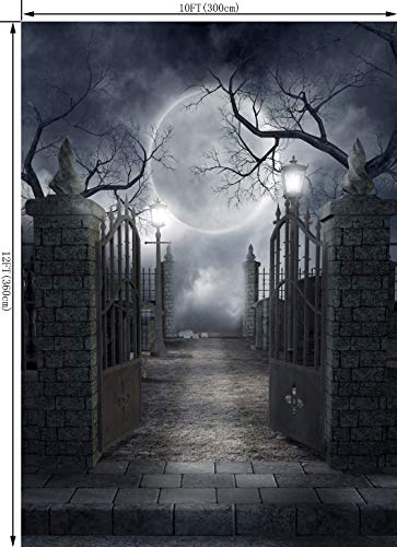 10X12FT Halloween Theme Pictorial Cloth Seamless Customized Photography Backdrop Background Studio Prop TP17F - size: 10'x12'