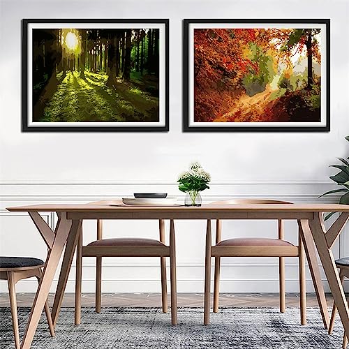 YANXIN Paint by Numbers Kit for Adults Beginners 2 Pack Paint by Numbers for Adults Rolled up Canvas for Home Decoration Creative Wall Art with Colorful Gift Box 12x16 inch Forest Sunrise 175-176 - color: YX8001-175-176