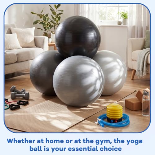 Leyndo 4 Pcs 26 Inch Yoga Exercise Ball Pilates - color: Gray Black Set
