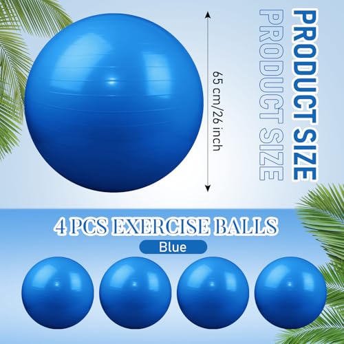 Leyndo 4 Pcs 26 Inch Yoga Exercise Ball Pilates - color: Blue