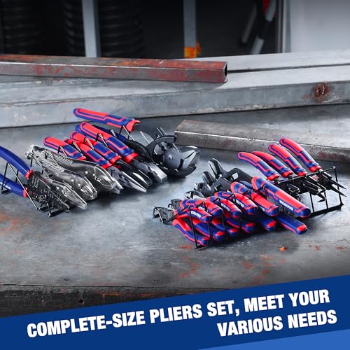 WORKPRO Pliers Set, 20-Piece Pliers Set with 2-pack Organizer Rack | Channel Locks Plier and Vise Grip Plier Assortment