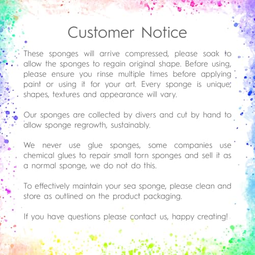 NAROA Artist Natural Sea Sponges for Painting 8 Pack | Unbleached Unique Art Tool Set | Suitable for Acrylic Watercolor, Marbling, Texturing, Pottery, Ceramics