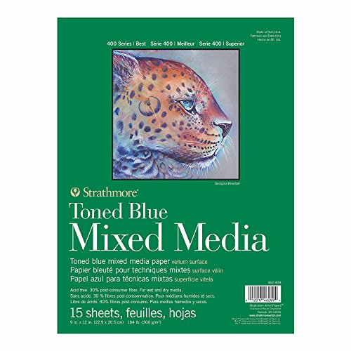 Strathmore 400 Series Toned Mixed Media Pad, 184lb Paper, 9 x 12 inches, Steel Blue, 15 Sheets (462-409) - color: Steel Blue, size: 9 x 12 inches