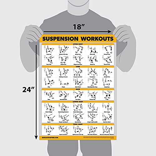Palace Learning 3 Pack - Suspension Workout Posters - Volume 1 & 2 + Dumbbell Exercises Poster Set - Set of 3 Workout Charts