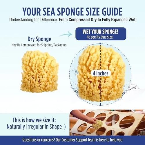 HartFelt Delicate Skin Wool Sea Sponge 4 in | Real Natural Sponges for Body and Face Gentle Care | Luxurious Lather - size: 1 Count (Pack of 1), style: Wool Sea Sponge
