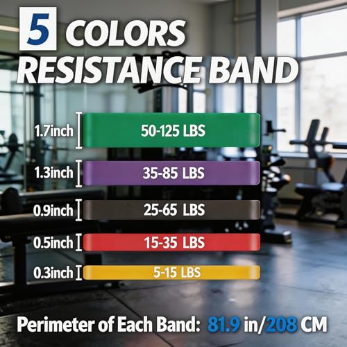 Resistance Bands for Working Out, 5 Levels Pull Up Assistance Bands | Exercise Band with Door Anchor, Body Training, Physical Therapy, Stretch Workout, 5-125 LBS for Men Women, Home Gym Travel