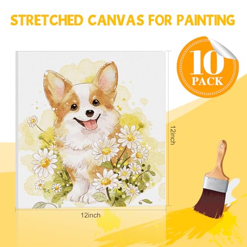 ESRICH Stretched Canvas for Painting 12 x 12 Inch, 10 Pack Blank Canvas -5/8 Inch Profile Primed Cotton White Canvases for Painting for Oil & Acrylic Paint, Art Canvases for Painting for Adult & Kids. - size: 12X12IN 10 Packs