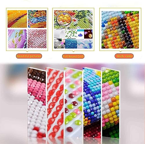 Diamond Art Kits for Adults,Three Tigers Diamond Painting Kit 11.8x15.8inch | 5D DIY Full Round Drill Paint by Diamond,Diamond Dot Gem Art Crafts,for Home Art Wall Beginners - color: KM48-1