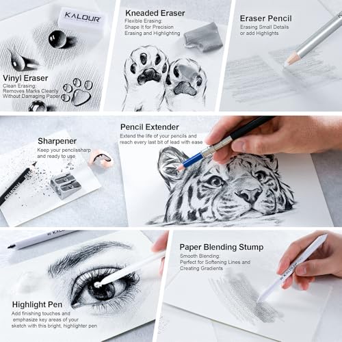 KALOUR PDAS 112 Drawing Set Sketch Kit, Pro Art Supplies with 3-Color Sketchbook, Graphite, Charcoal Pencils, Art Drawing Kit for Artists Adults Teens Beginners, Ideal for Shading & Blending