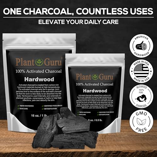 Activated Charcoal Powder 1 lb. Hardwood - Food Grade Kosher Non-GMO - Teeth Whitening, Facial Mask and Soap Making. Promotes Natural Detoxification and Helps Digestion (Pack of 2) - size: 16 Ounce (Pack of 2)