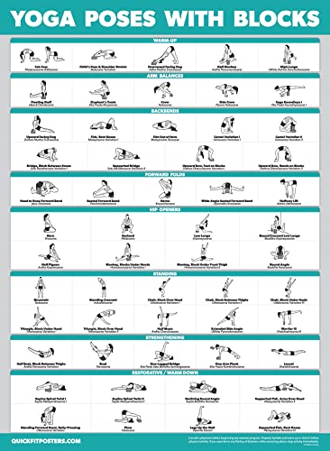 Palace Learning 4 Pack - Yoga Poses Poster Volume 1, 2 & 3 + Yoga Positions with Yoga Blocks - Beginner Yoga Position Exercise Charts - English and Sanskrit Names