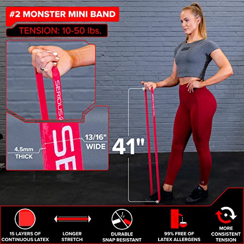 SERIOUS STEEL FITNESS Assisted 41" Pull-Up Band, Resistance & Stretch, Powerlifting & Pull-up Assist Loop (Single Band) - style: #2 (10-50 lbs)