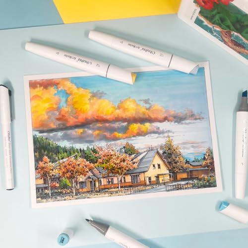 Ohuhu Alcohol Markers Fine& Slim Broad 60 Colors for Adult Beginners Artist | Dual Tips Alcohol-based Refillable Art Marker Set for Architectural Design Illustration Drawing Coloring, Gift Idea, Kaala - color: 60 Landscape Colors + 1 Colorless Blender