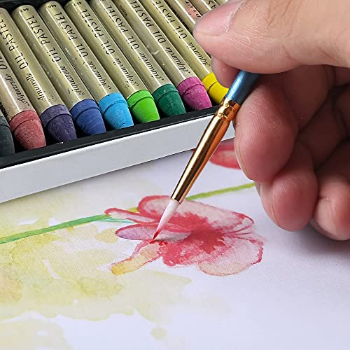 HA SHI Water-Soluble Oil Pastels for Adult Artists, 12 Colors, Blendable | Draw dry, then sweep a damp brush over the strokes to melt them into soft washes on paper, canvas or mixed-media journals. - color: Oil Pastels 12 colors