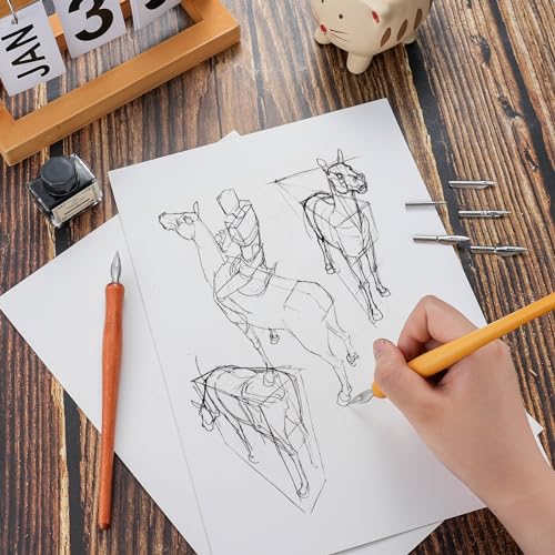 Dip Pen Set, calligraphy set,drawing pen Includes 2 Wooden Pen Holders and 12 Stainless Steel Nibs for Writing, Painting, Sketch, Signing