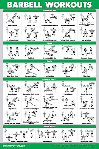 10 Pack - Exercise Workout Poster Set - Cable Machine, Dumbbell, Suspension, Kettlebell, Resistance Bands, Stretching, Bodyweight, Barbell, Yoga Poses, Exercise Ball (LAMINATED, 18" x 24")