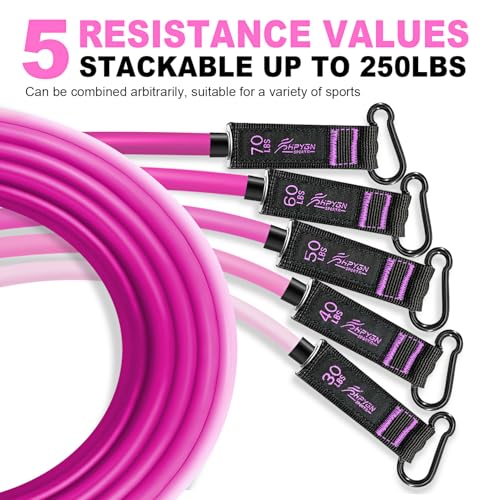 HPYGN Resistance Bands, Exercise Bands with Handles, Fitness Bands, Workout Bands with Door Anchor and Ankle Straps, for Heavy Resistance Training, Physical Therapy, Shape Body, Yoga, Home Workout Set - color: pink, style: 250LBS