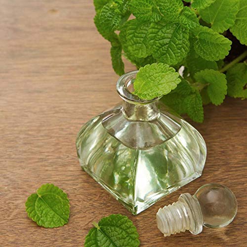 Muse Apothecary Yoga Ritual - Aromatic and Refreshing Yoga Mat Cleaner, 8 oz, Infused with Essential Oils - Eucalyptus Mint, 2 Pack - size: 8 Fl Oz (Pack of 2)