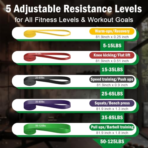 Pull Up Assistance Bands, Resistance Bands Set with Handles for Men Women, Workout & Exercise Bands, 5-Level Elastic Bands for Working Out, Stretch Bands for Home Gym, Stretching & Physical Therapy