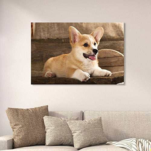 wall26 Canvas Prints Wall Art - Cardigan Welsh Corgi Puppy - Giclee Print Gallery Wrap Modern Home Art Ready to Hang - 12" x 18" - color: Cardigan, size: 18"L x 12"W