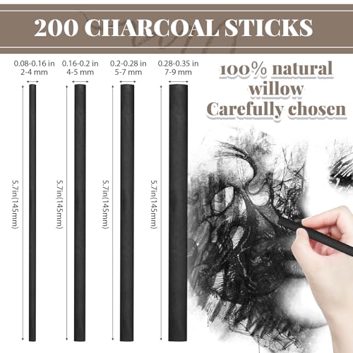 Gueevin 200Pcs Soft Willow Charcoal Sticks Drawing, 2-4mm,4-5mm,5-7mm,7-9mm | For Artists Beginners Students, Vine Charcoal Bulk for Sketching Shading Fine Art, Assorted Sizes, Back to School Gifts - size: 1 Count (Pack of 200)