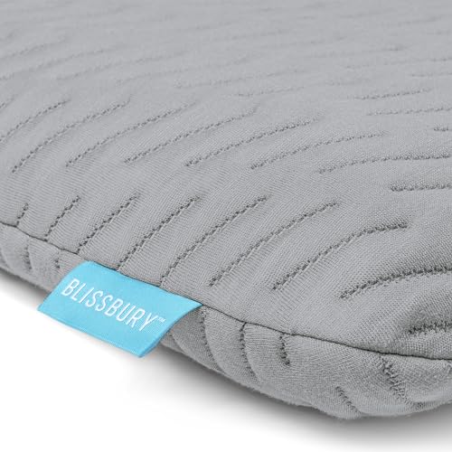 BLISSBURY Stomach Sleeper Pillow, Flat Thin Pillow, Memory Foam, 2.6 Inch - color: Gray, size: 2.6"H (Queen)