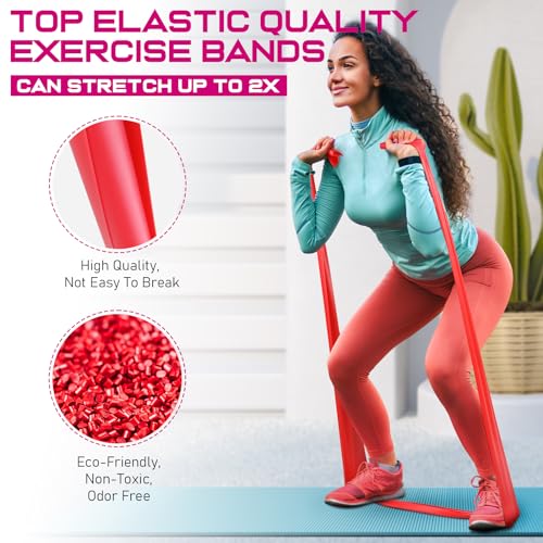 Resistance Bands and Exercise Handles, 4.9ft Exercise Bands for Physical Therapy, Stretch, Recovery, Pilates, Rehab, Strength Training Equipment