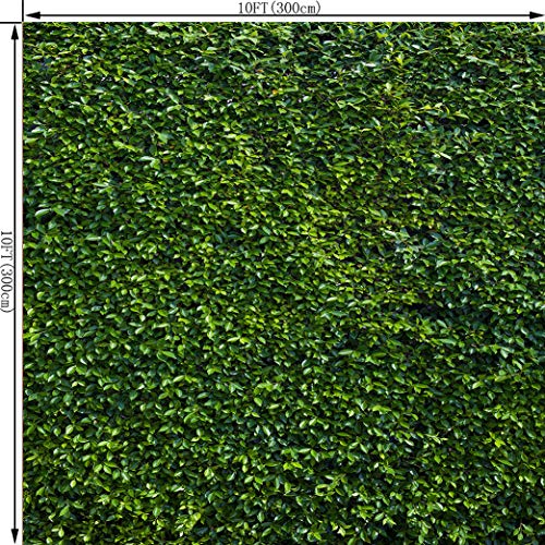 10X10FT Green Leaves Photography Backdrops Leaf Green Vertical Texture Backdrop Birthday Background for Birthday Party Seamless Photo Booth Vinyl Backdrop PCK41C - size: 10X10FT