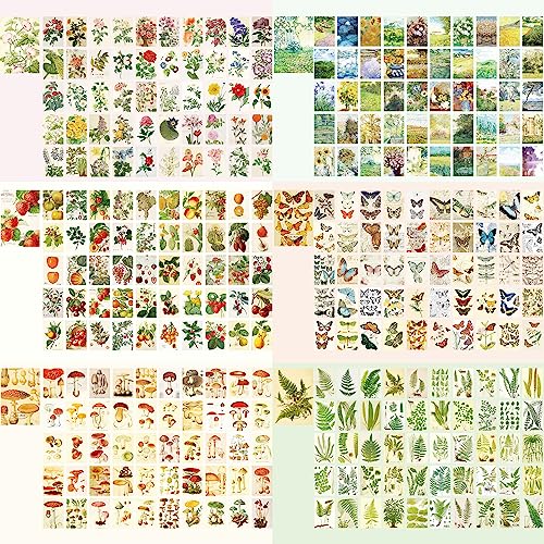 9 Sets 450 Sheets Washi Stickers for Journaling, Plants Fruit Flowers Butterfly Shell Boho Stickers Vintage Aesthetic Scrapbook Sticker for Bullet Journal Art Diary Card Craft Gifts Planner Notebook - style: Nature Style