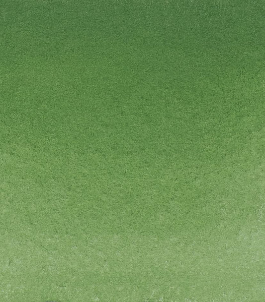 Schmincke - HORADAM® AQUARELL - Finest Artists' Watercolor Paints, 512 Chromium Oxide Green, 14 512 044, 1/2 pan - color: 512 Chromium Oxide Green