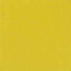 Holbein Acryla Gouache 20ml Mustard