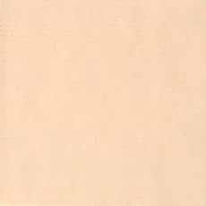 Holbein Acryla Gouache 20ml Pale Peach