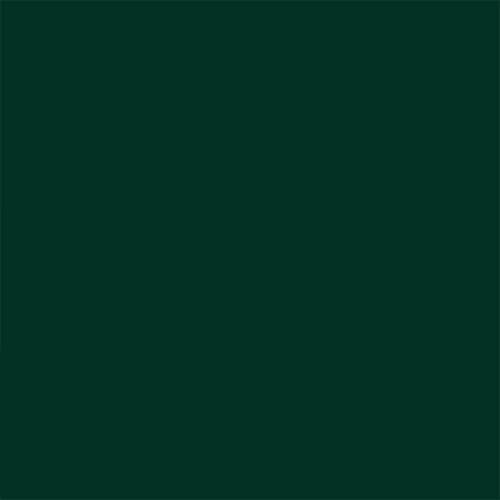 Rust-Oleum Stops Rust Door & Trim Paint, Satin Vermont Green | Ultimate Durability on Metal, Wood and Fiberglass | Durable Chip and Fade Resistance | Smooth Finish | Indoor and Outdoor - color: Satin Vermont Green