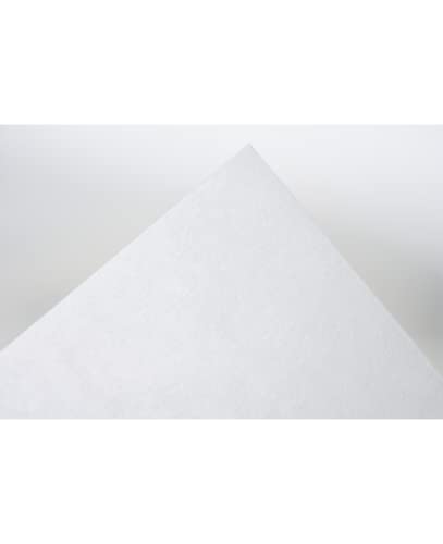 Yasutomo Hanshi Paper 9 1/2" x 13" 100 Sheets