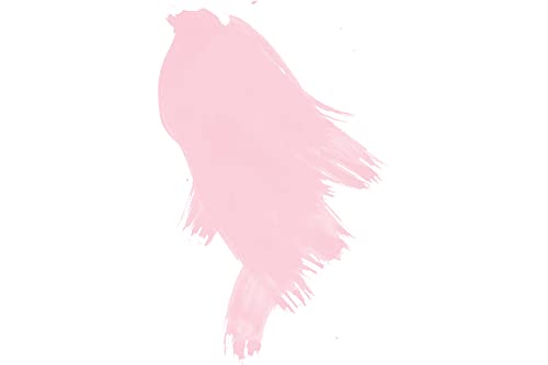 Daler Rowney FW Pearlescent Liquid Acrylic Bottle, Platinum Pink, 1 oz