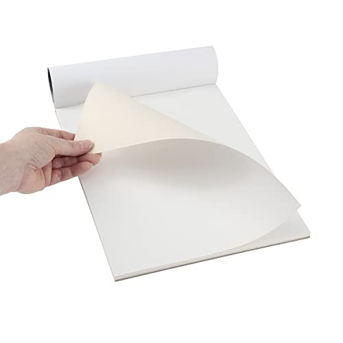 Paramount Universal Primed Premium Cotton Canvas Pads - 2 Pack - 6" x 8"- Universal Double Primed Cotton Canvas Pads for Drawing, Painting, Travel, & More - size: 6" x 8"